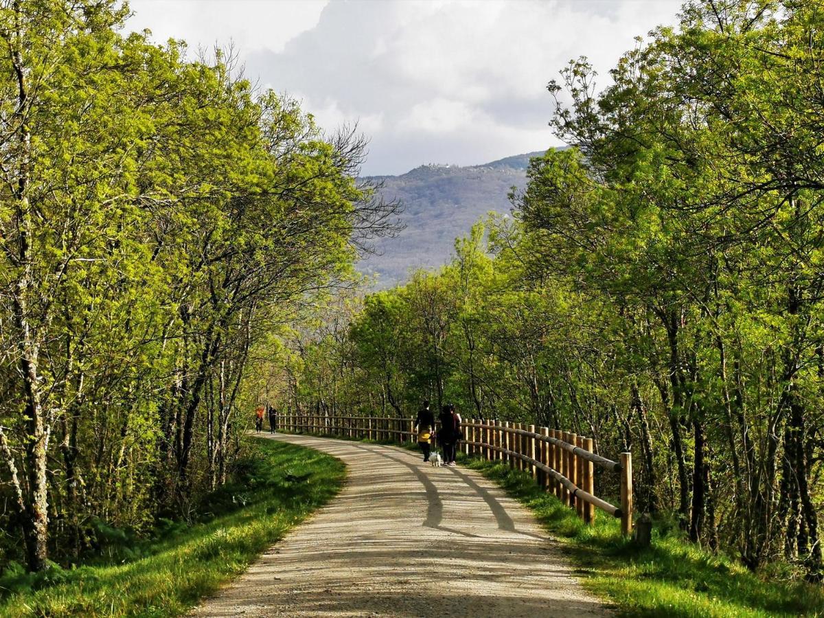 El Triskel De Chumbea, Alojamiento Excepcional Con Maravillosas Vistas A 5Km De Bejar Navalmoral de Bejar 외부 사진
